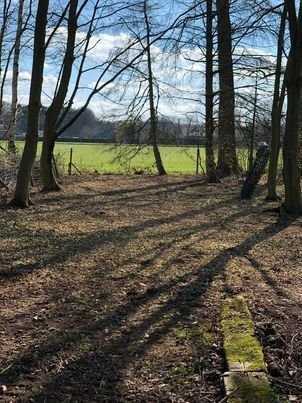 Maandelijks tuinonderhoud Schelle, Antwerpen